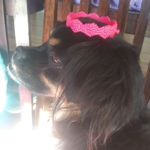 Meet your Posher, Parker